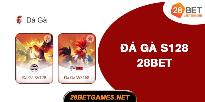 Sảnh đá gà S128 - Nhịp độ nhanh, trận đấu dồn dập Sảnh đá gà S128 - Nhịp độ nhanh, trận đấu dồn dập