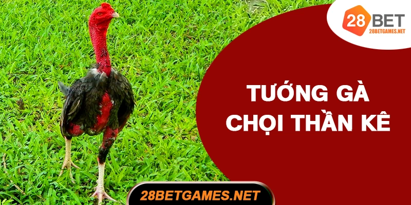 Tướng gà chọi thần kê và các loại phổ biến Tướng gà chọi thần kê và các loại phổ biến